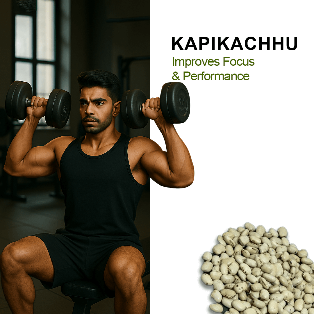 𝐓𝐄𝐒𝐓𝐎𝐇𝐔𝐋𝐊™ 𝐒𝐡𝐢𝐥𝐚𝐣𝐢𝐭 𝐖𝐡𝐞𝐲 𝐅𝐚𝐬𝐭 𝐀𝐛𝐬𝐨𝐫𝐛 𝐏𝐫𝐨𝐭𝐞𝐢𝐧 - 𝟏𝐤𝐠